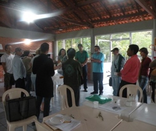 Plantas Medicinais em Florianópolis