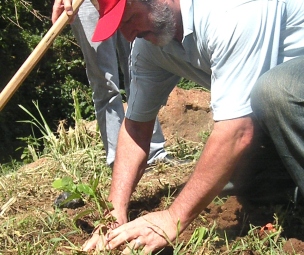 Plantio de mudas, Itapiranga, 25 de novembro. 